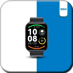 Ikon Haylou Watch 2 Pro App Guide
